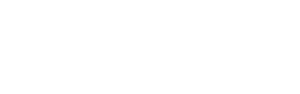 Webvantage Solutions Logo